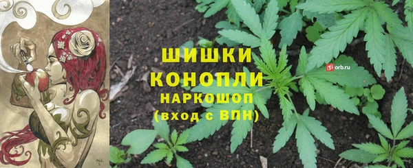 эйфоретик Белоозёрский