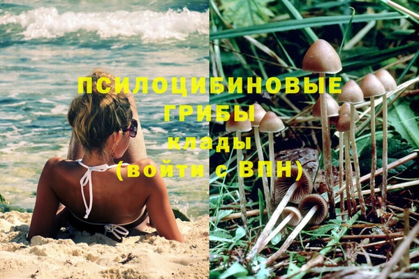 марки nbome Белокуриха