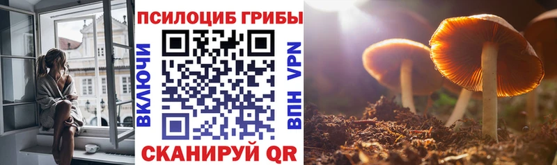 Галлюциногенные грибы MAGIC MUSHROOMS  kraken зеркало  Вязьма 