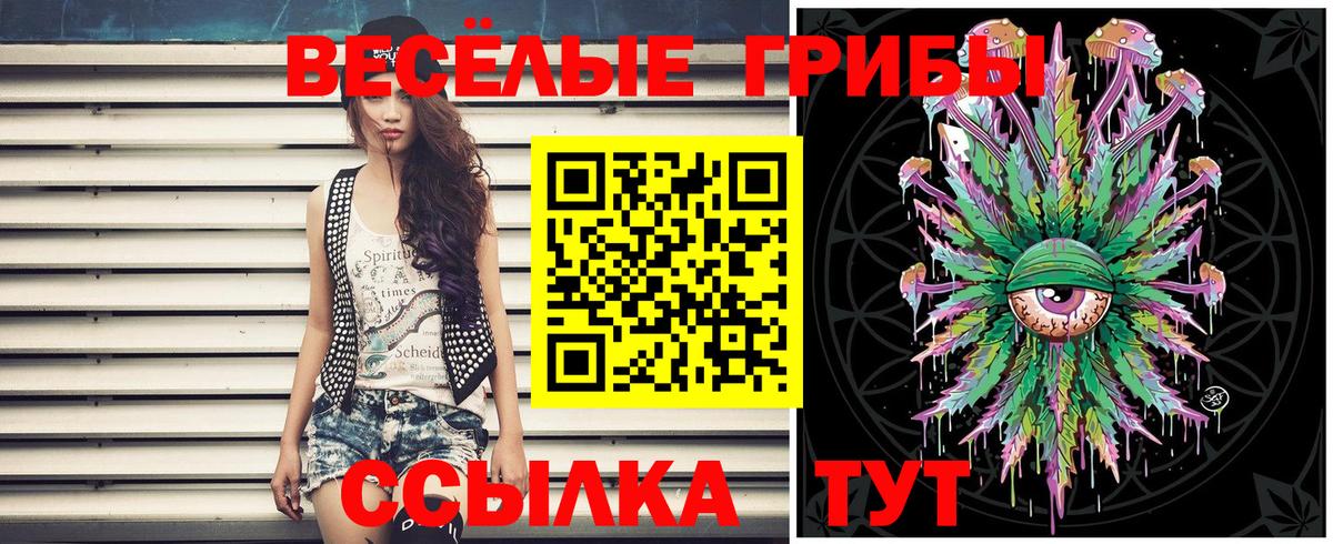 Галлюциногенные грибы Psilocybine cubensis  наркошоп  Вязьма  Вход с VPN 