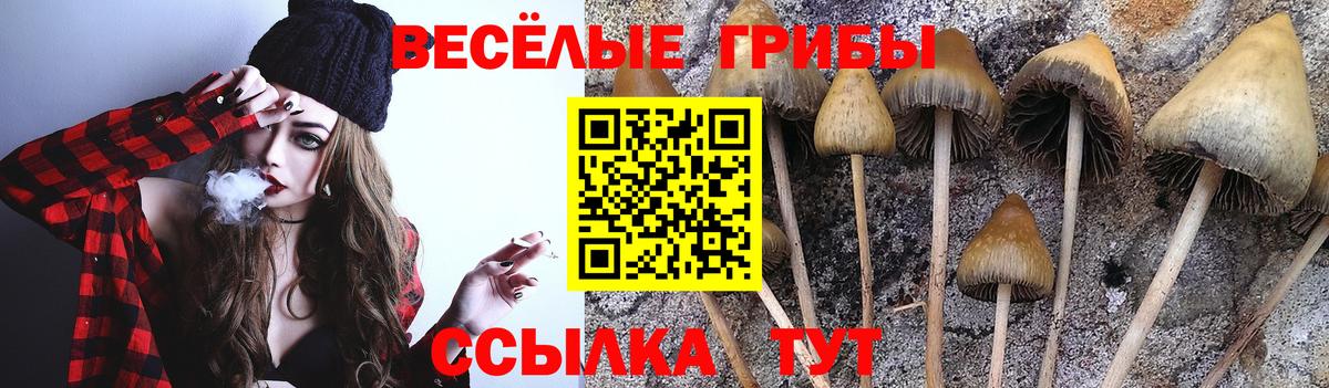 Псилоцибиновые грибы прущие грибы Вязьма